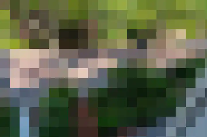 Oostduinlaan 145 Den Haag thumbnail 34