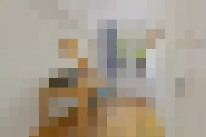Oostduinlaan 145 Den Haag thumbnail 39