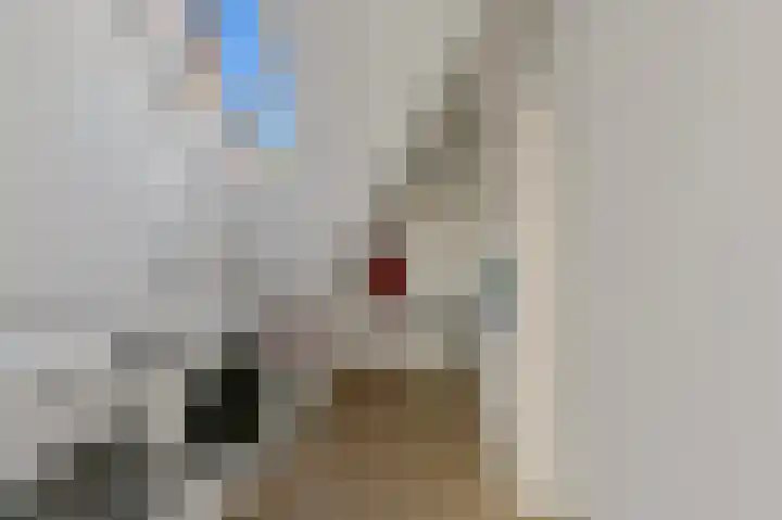 Oostduinlaan 145 Den Haag thumbnail 51
