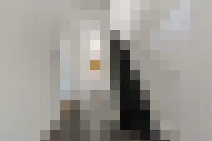 Oostduinlaan 145 Den Haag thumbnail 7
