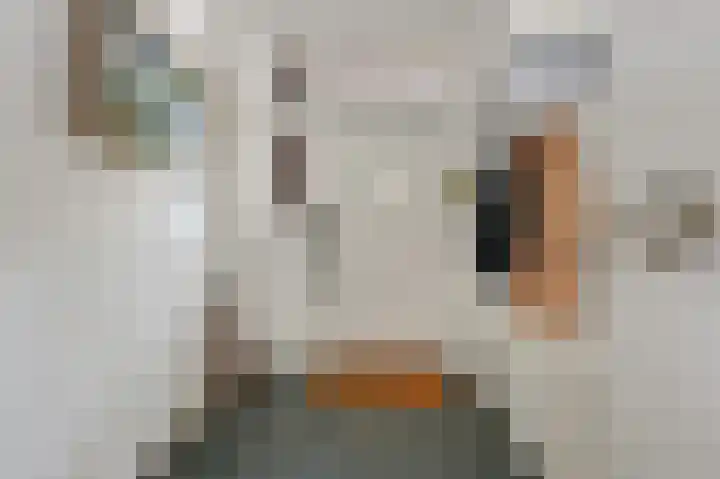 Oostduinlaan 145 Den Haag thumbnail 8