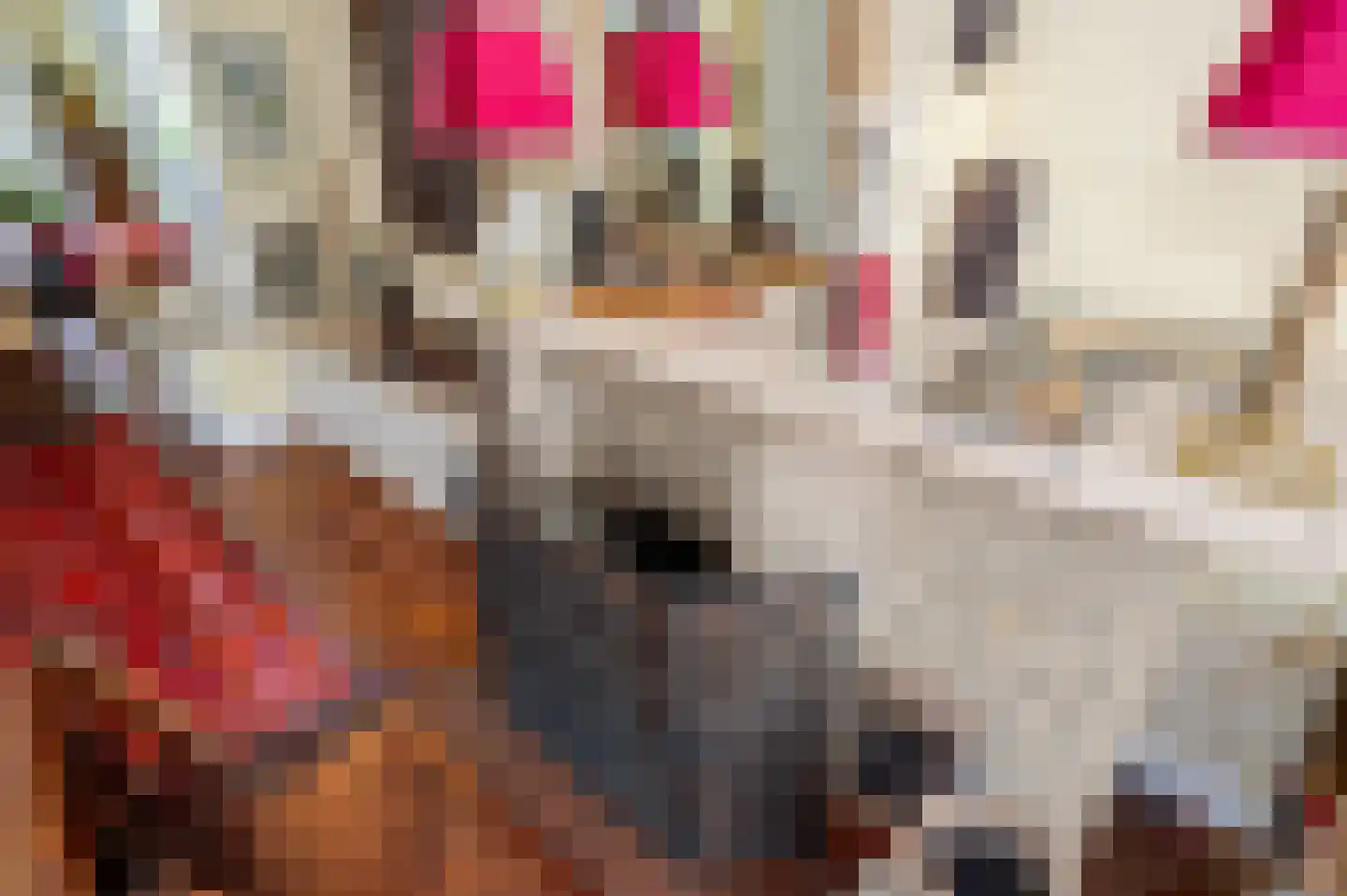 Oostduinlaan 22 Den Haag thumbnail 22