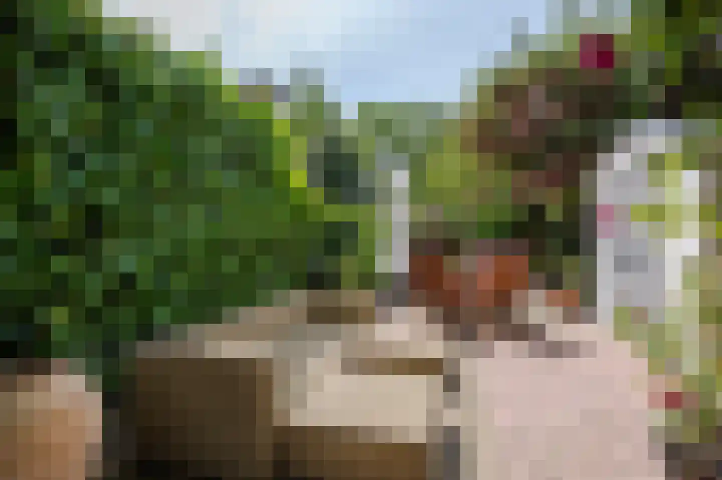 Oostduinlaan 22 Den Haag thumbnail 25