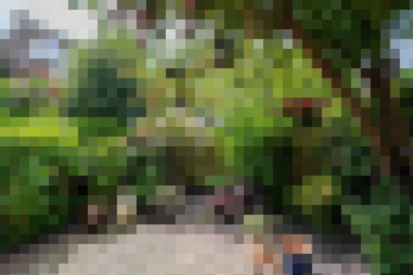 Oostduinlaan 22 Den Haag thumbnail 27