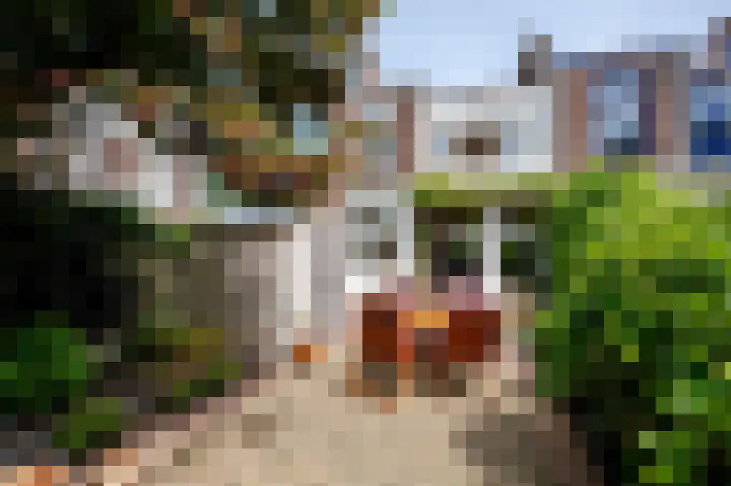 Oostduinlaan 22 Den Haag thumbnail 29