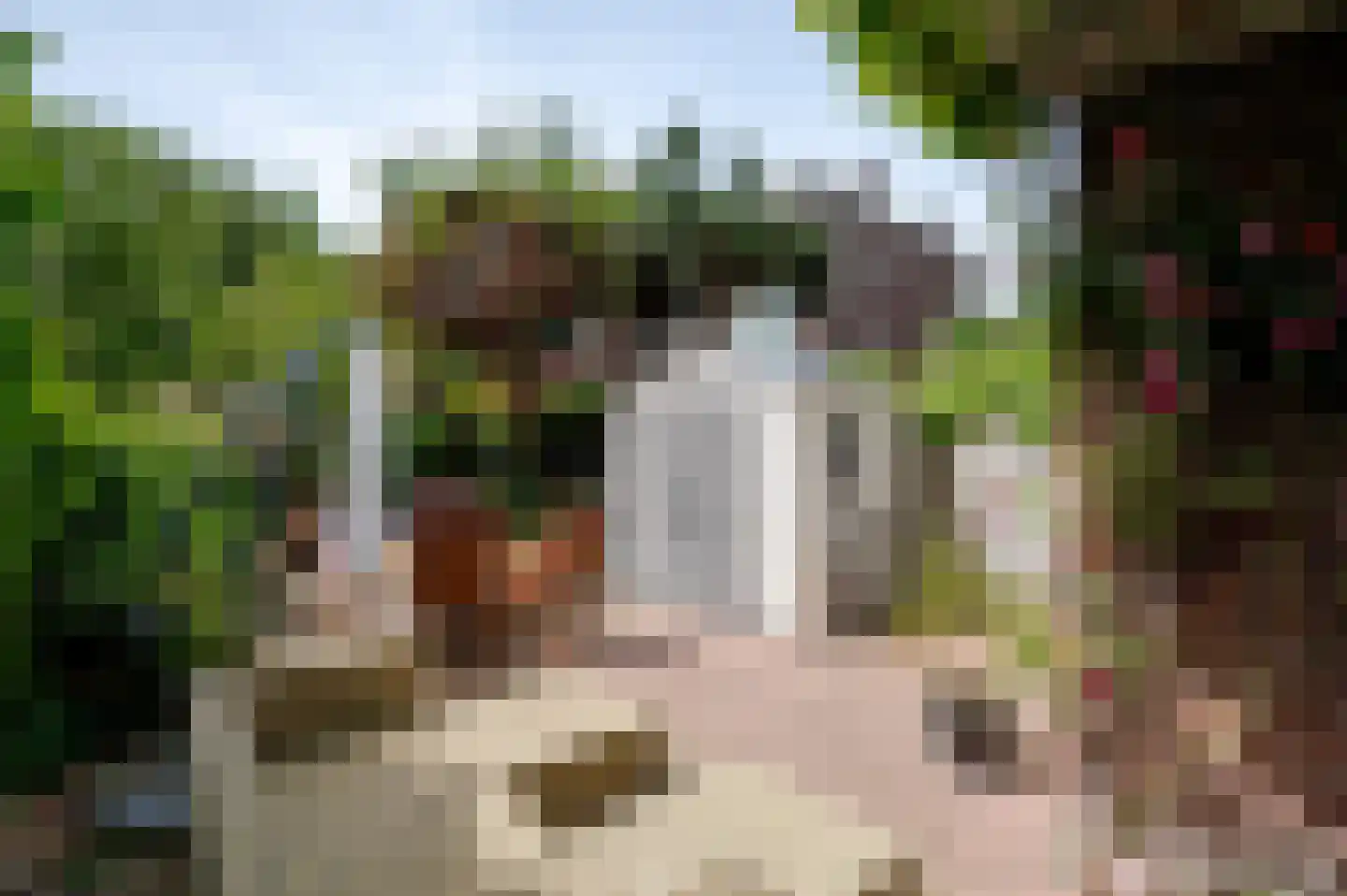 Oostduinlaan 22 Den Haag thumbnail 31