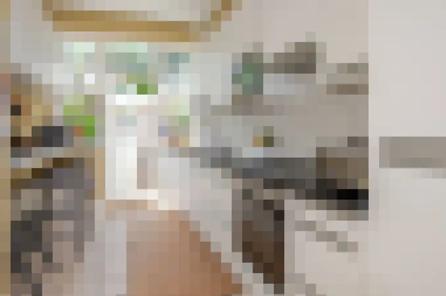 Oostduinlaan 22 Den Haag thumbnail 32