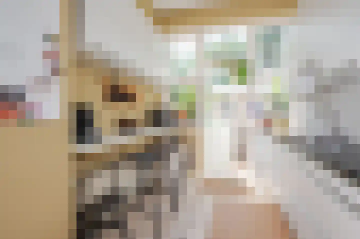Oostduinlaan 22 Den Haag thumbnail 33