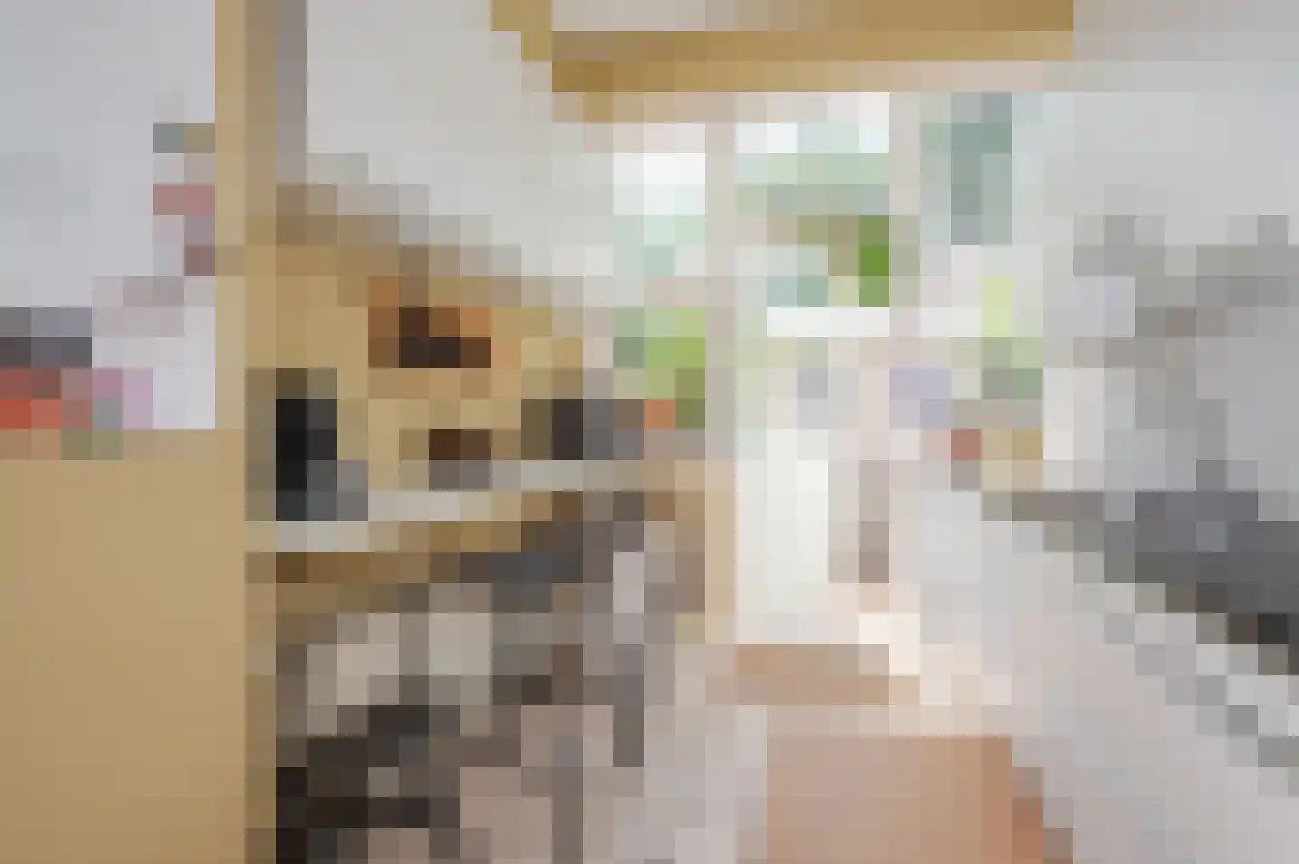 Oostduinlaan 22 Den Haag thumbnail 33