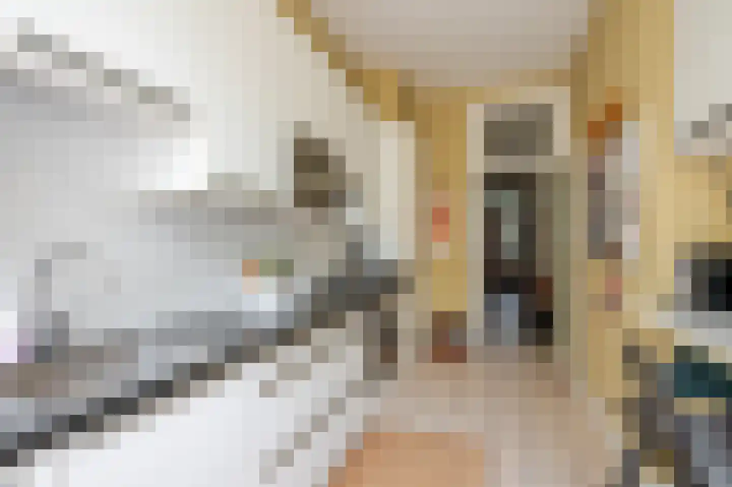 Oostduinlaan 22 Den Haag thumbnail 34