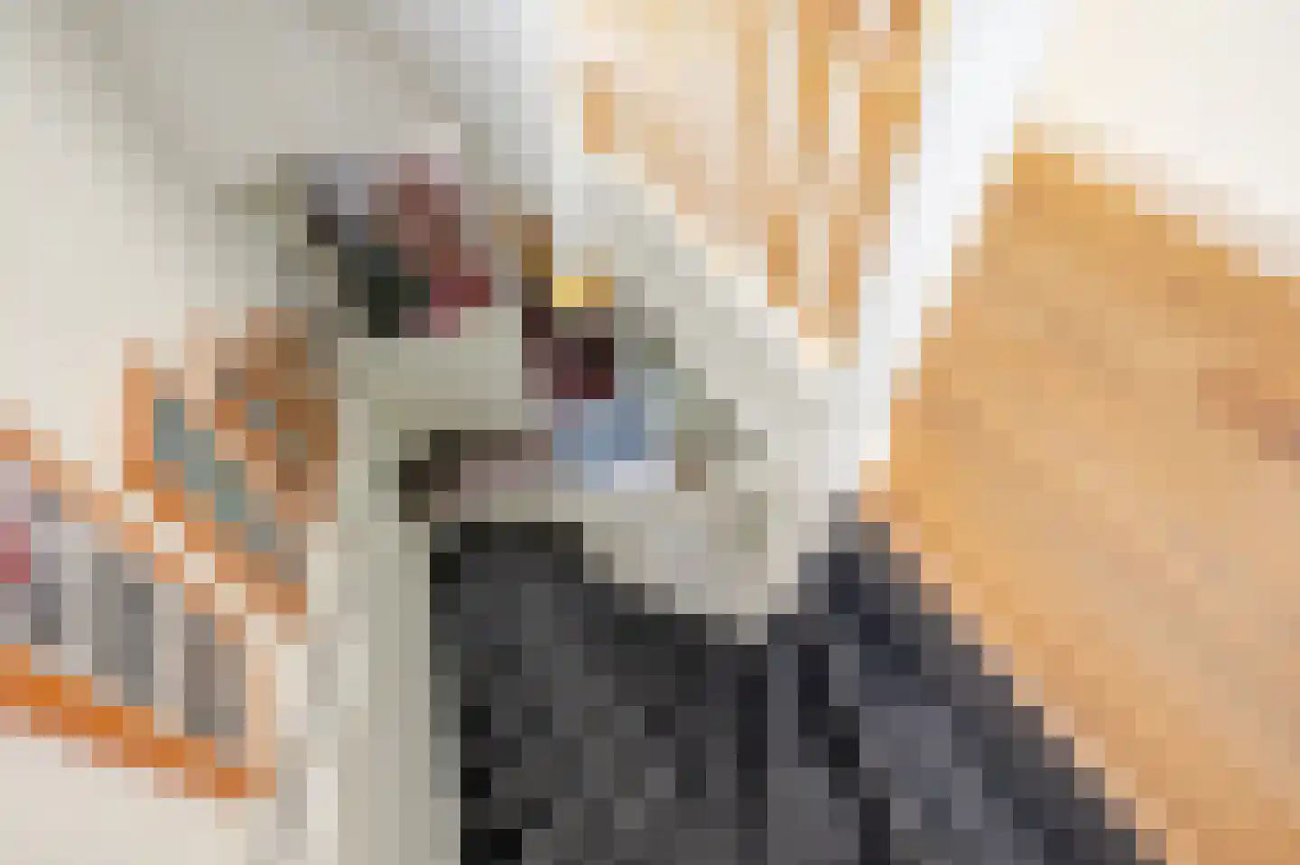 Oostduinlaan 22 Den Haag thumbnail 35
