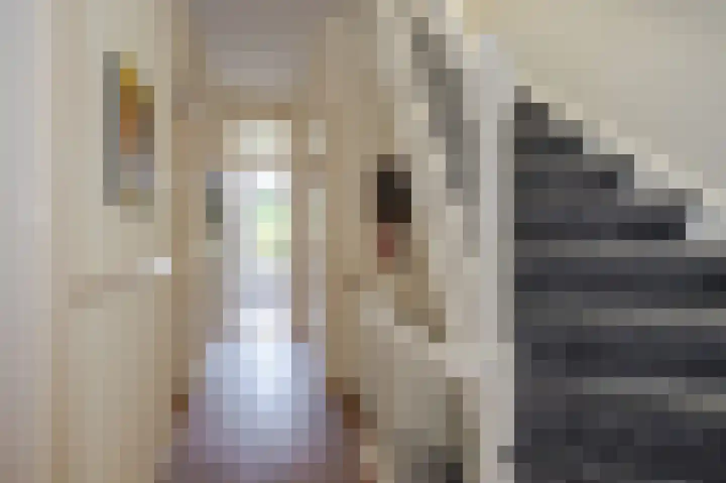 Oostduinlaan 22 Den Haag thumbnail 36
