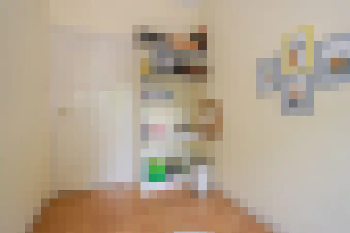 Oostduinlaan 22 Den Haag thumbnail 39