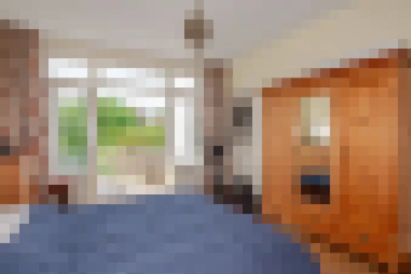 Oostduinlaan 22 Den Haag thumbnail 46