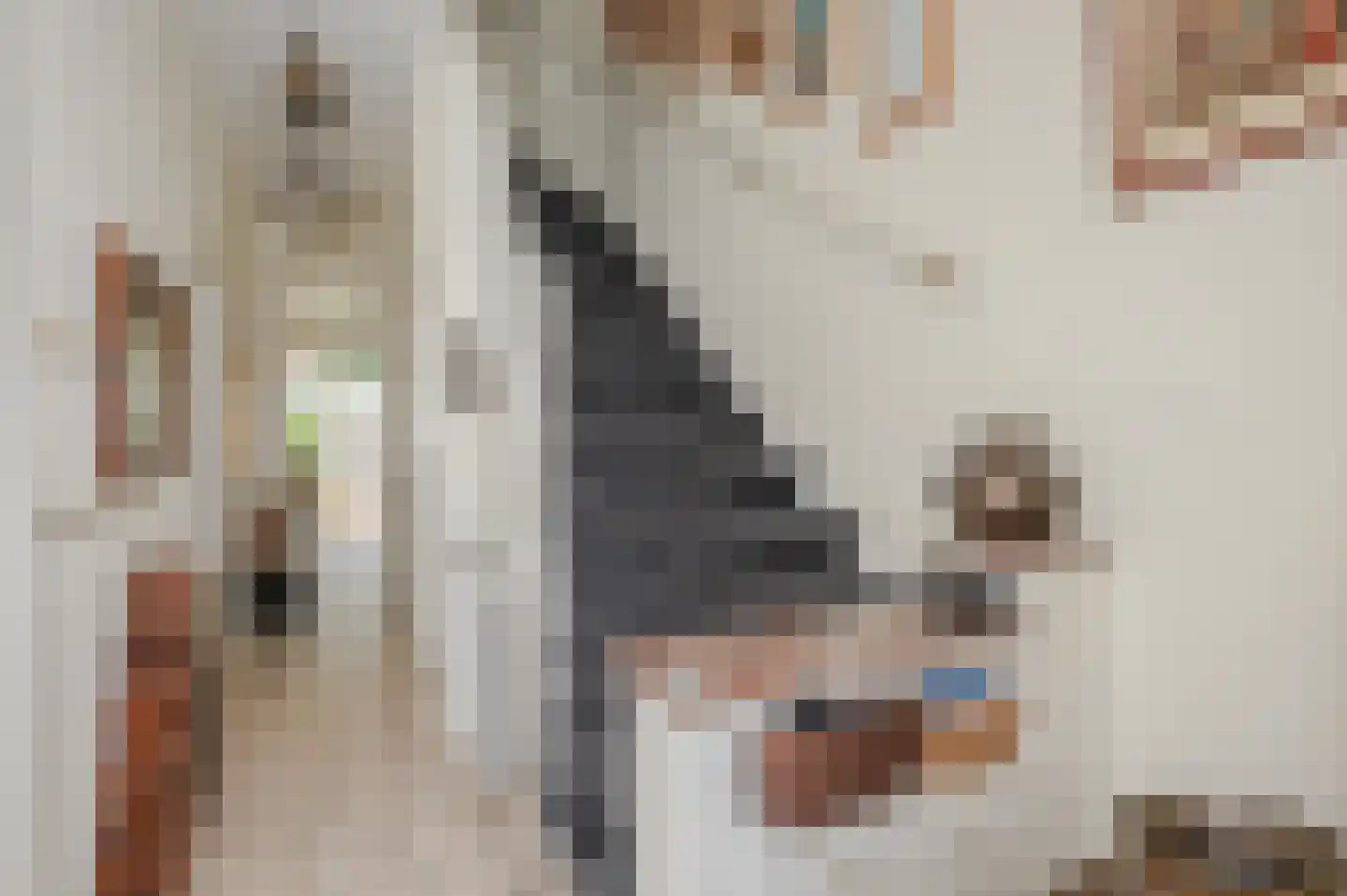 Oostduinlaan 22 Den Haag thumbnail 5