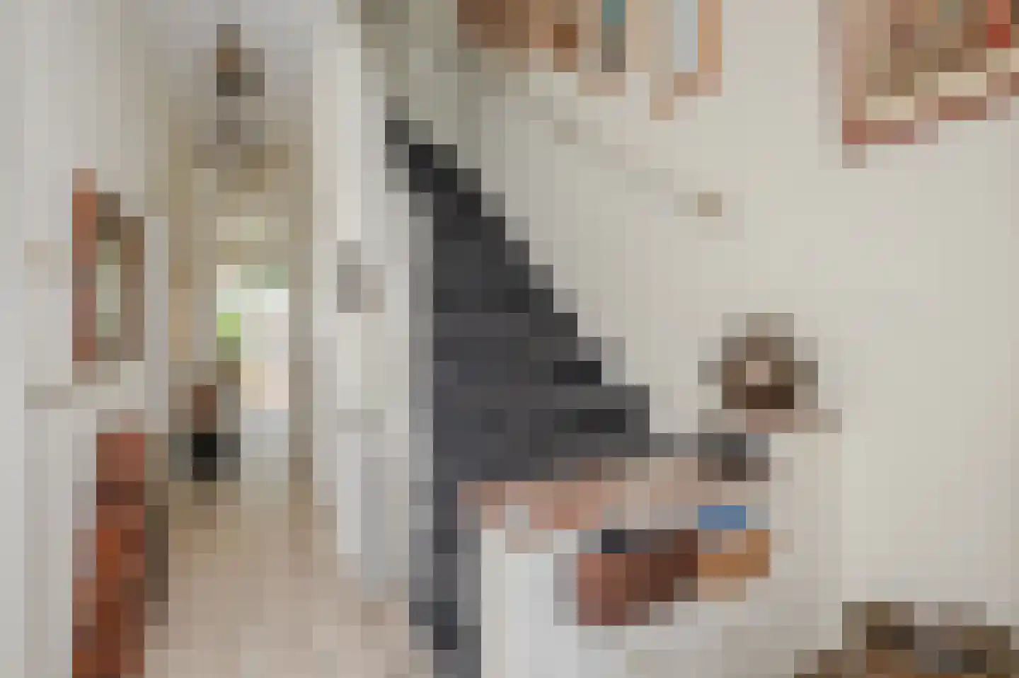 Oostduinlaan 22 Den Haag thumbnail 5