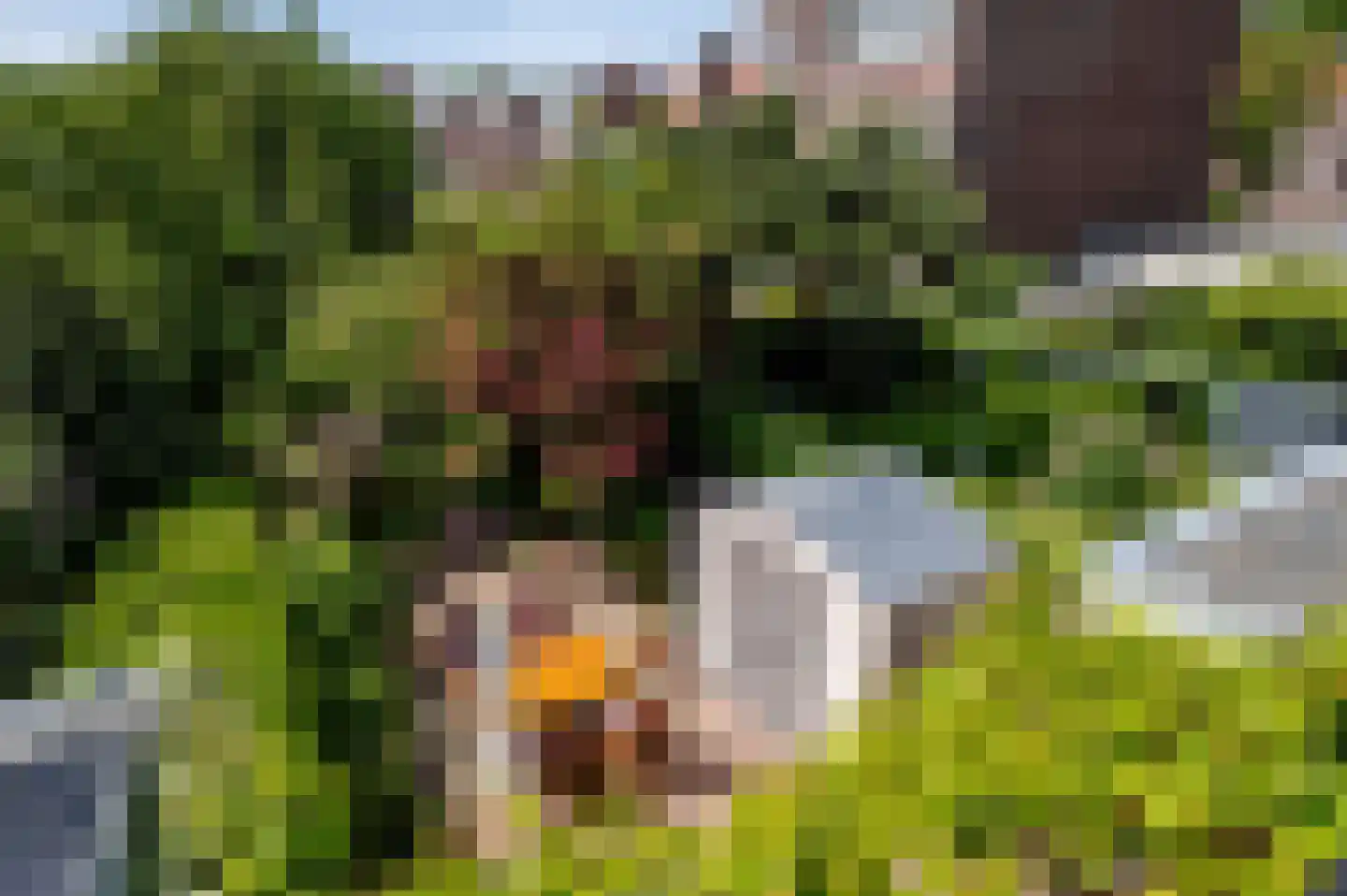 Oostduinlaan 22 Den Haag thumbnail 52