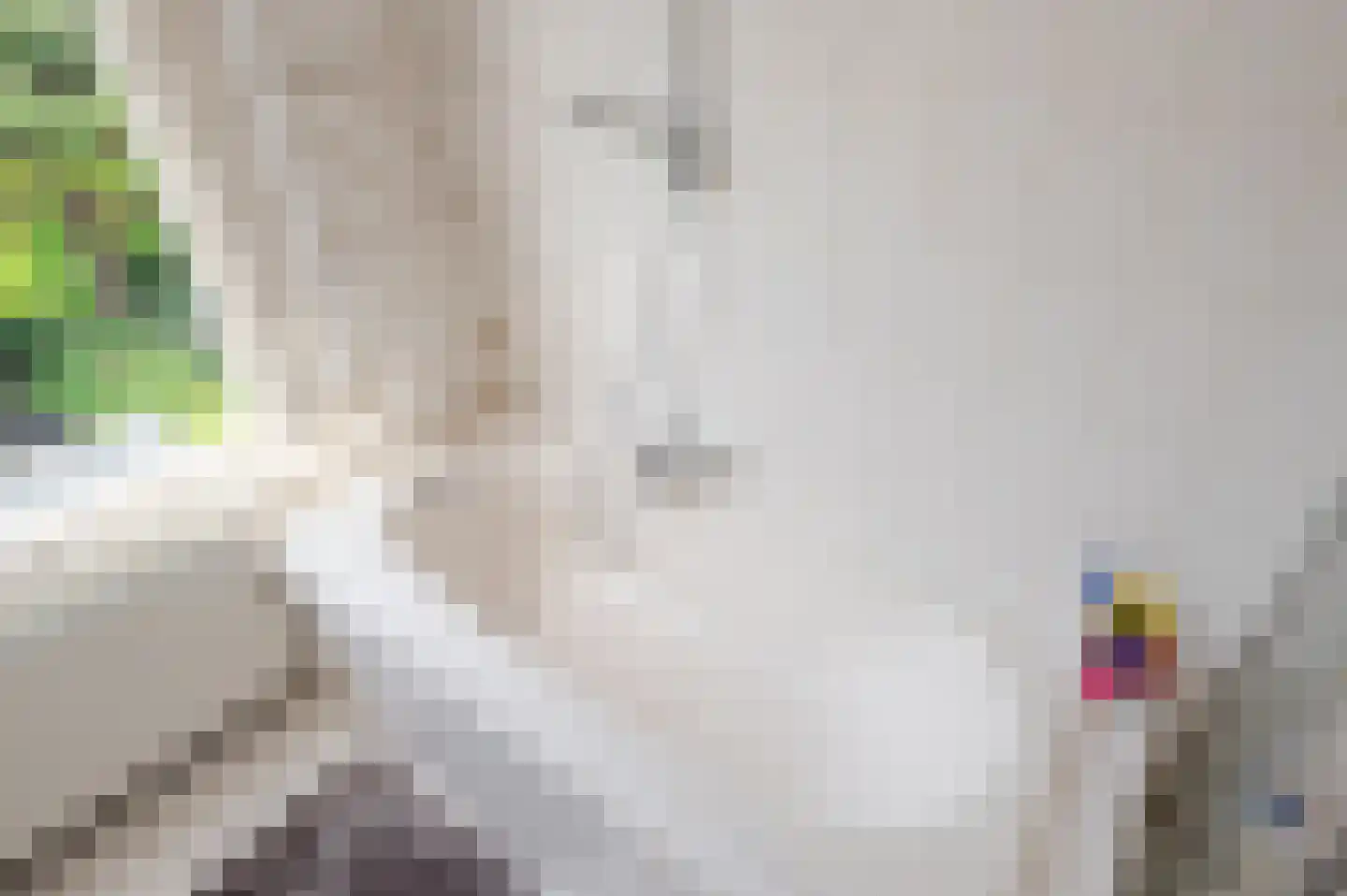 Oostduinlaan 22 Den Haag thumbnail 56