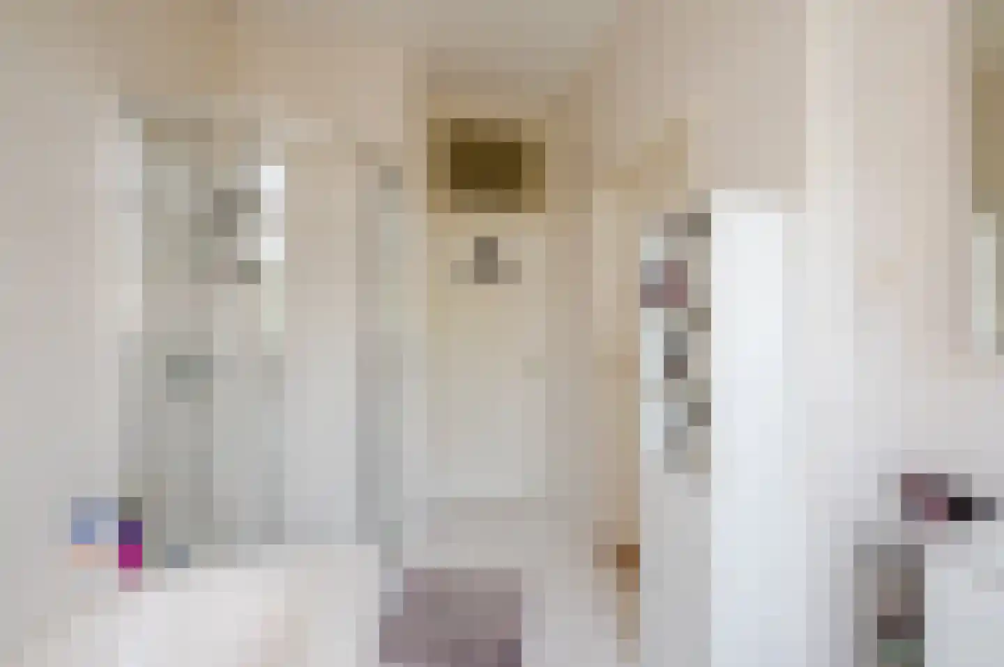 Oostduinlaan 22 Den Haag thumbnail 58