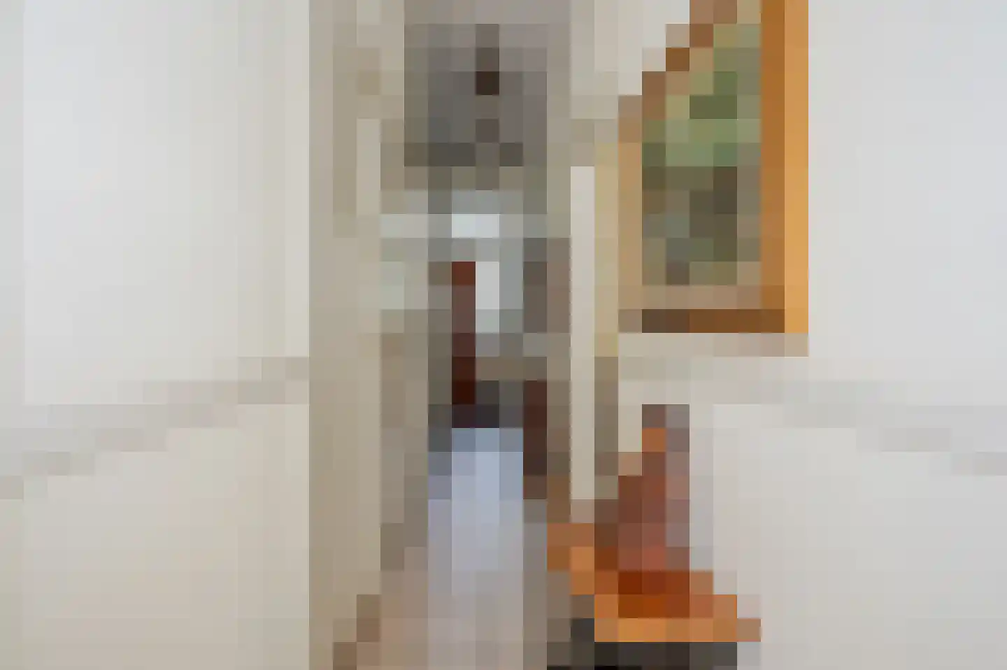 Oostduinlaan 22 Den Haag thumbnail 6