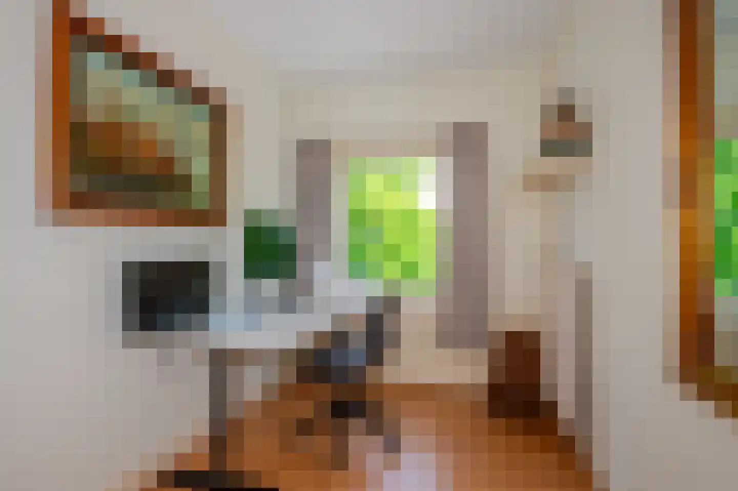 Oostduinlaan 22 Den Haag thumbnail 63