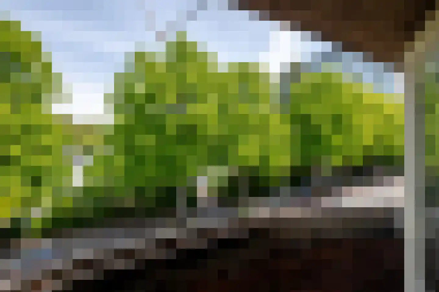 Oostduinlaan 22 Den Haag thumbnail 68