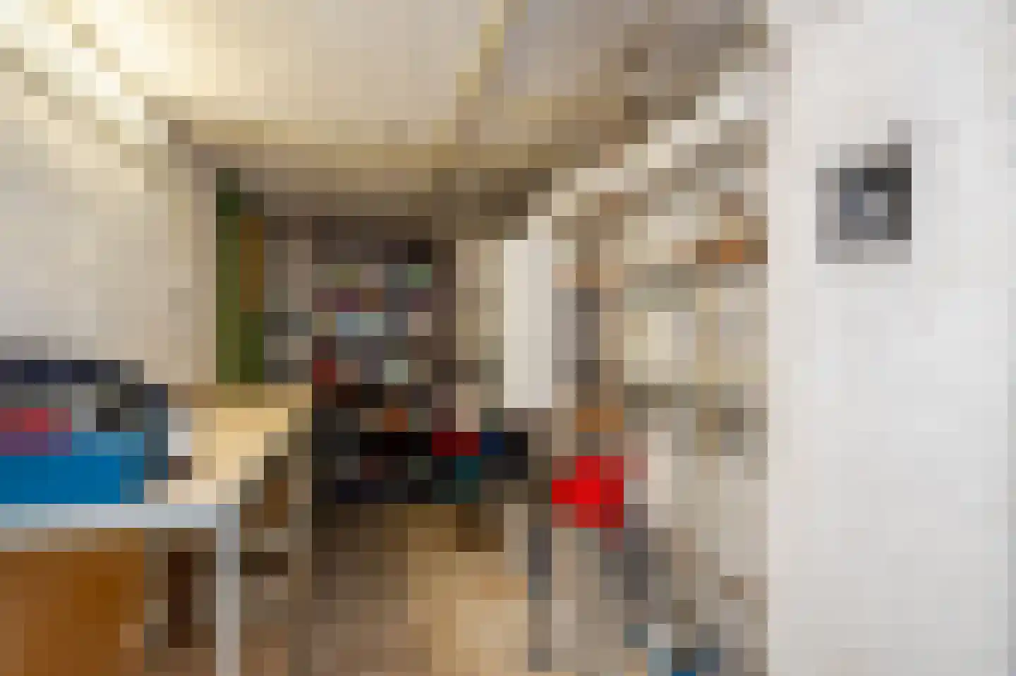 Oostduinlaan 22 Den Haag thumbnail 75