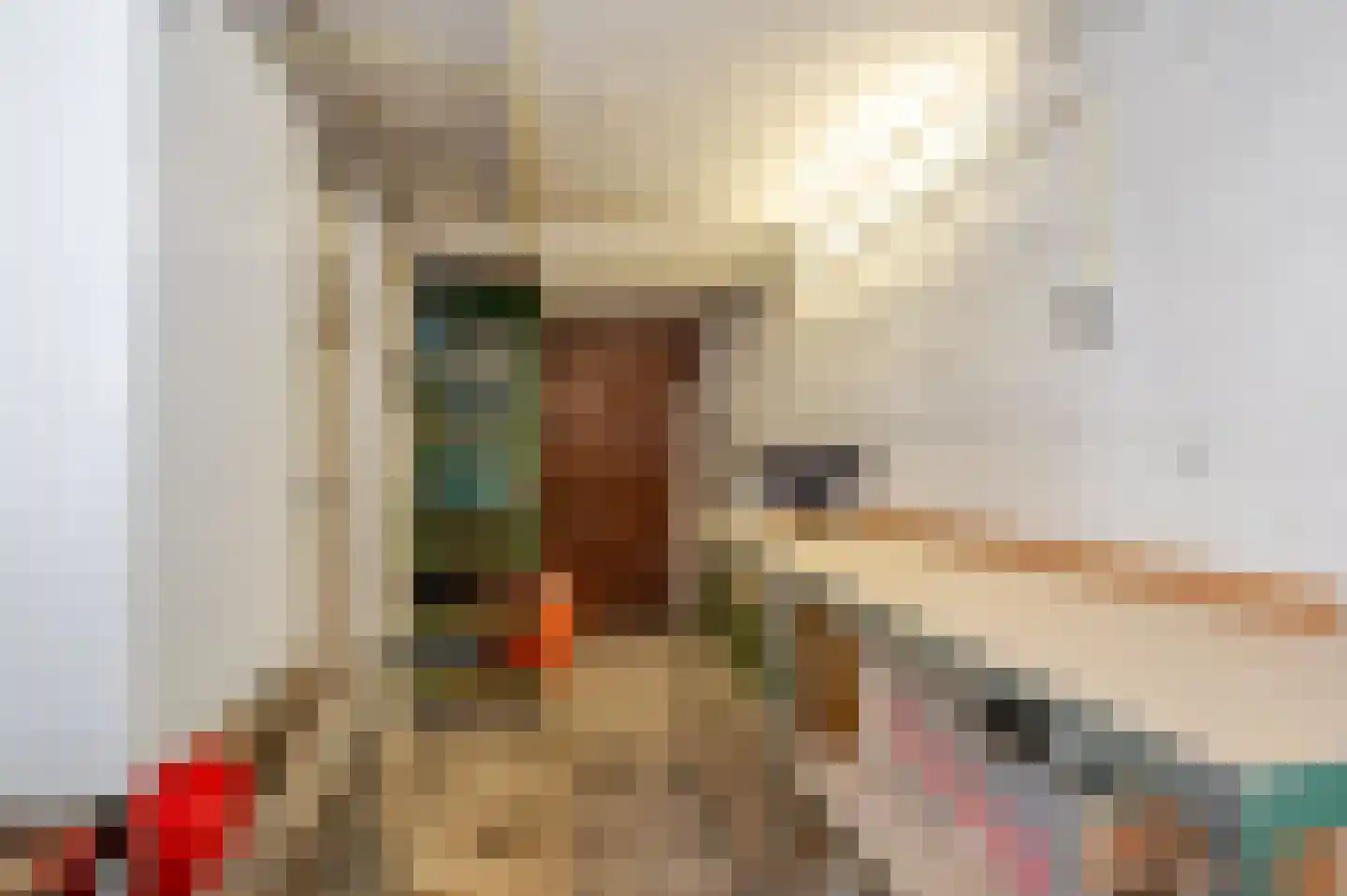 Oostduinlaan 22 Den Haag thumbnail 76