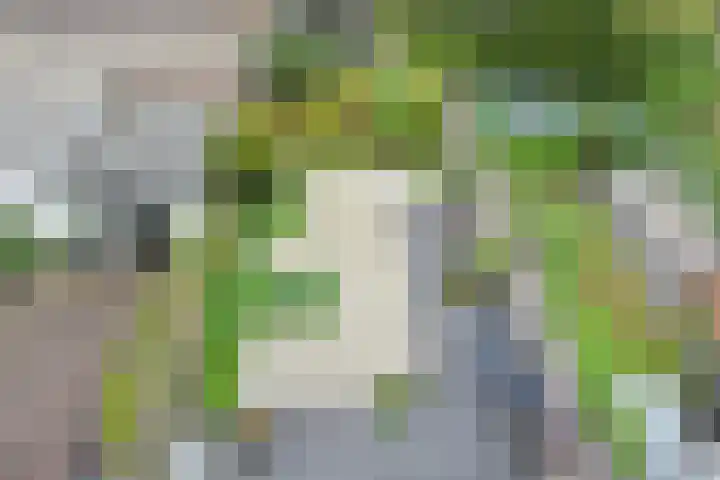 Oostduinlaan 28 Den Haag thumbnail 23
