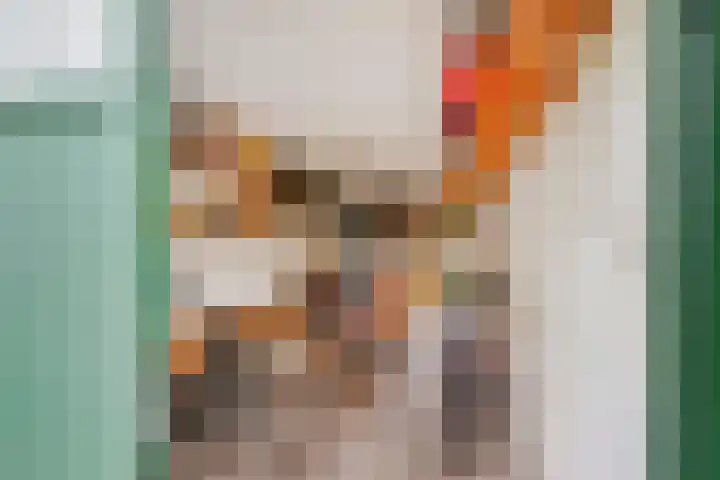 Oostduinlaan 28 Den Haag thumbnail 32