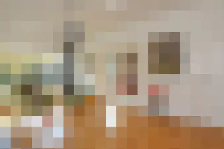 Oostduinlaan 66 Den Haag thumbnail 11