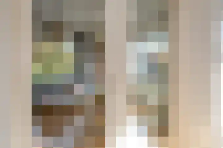 Oostduinlaan 66 Den Haag thumbnail 15