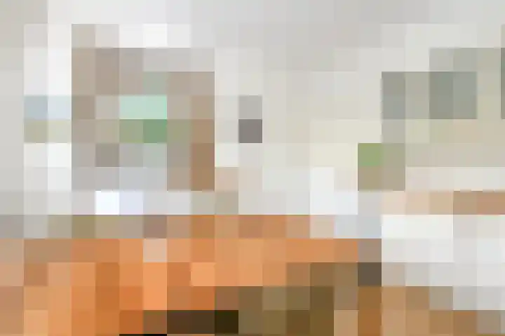 Oostduinlaan 66 Den Haag thumbnail 22