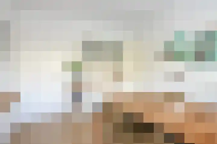 Oostduinlaan 66 Den Haag thumbnail 23