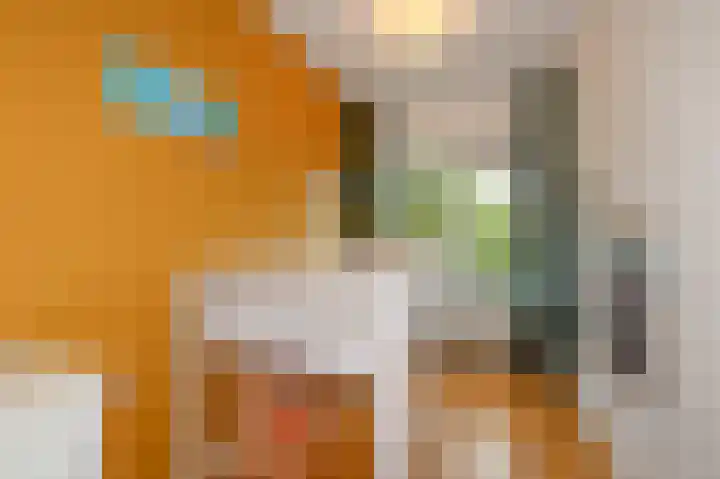 Oostduinlaan 66 Den Haag thumbnail 27