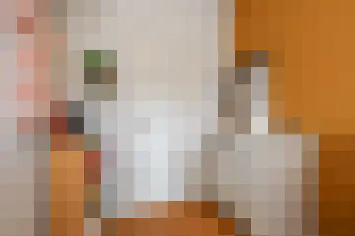 Oostduinlaan 66 Den Haag thumbnail 28