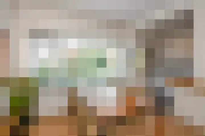 Oostduinlaan 66 Den Haag thumbnail 4