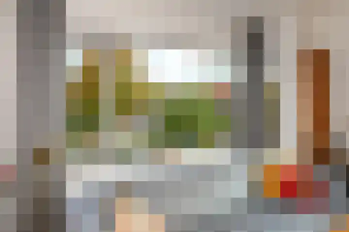 Oostduinlaan 66 Den Haag thumbnail 8