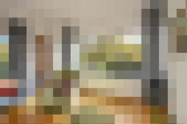Oostduinlaan 66 Den Haag thumbnail 9