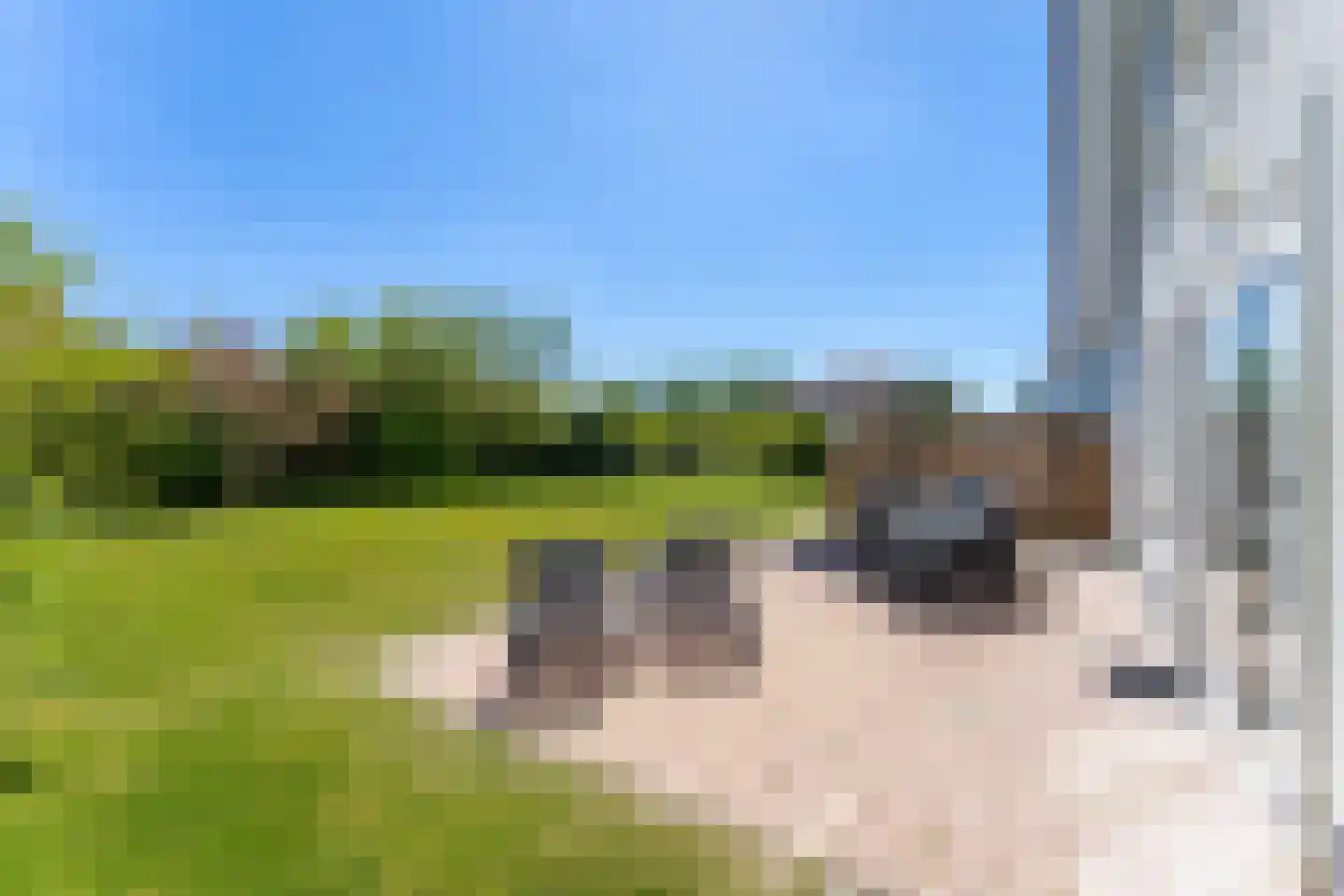 Oostduynen 17 Cadzand thumbnail 24