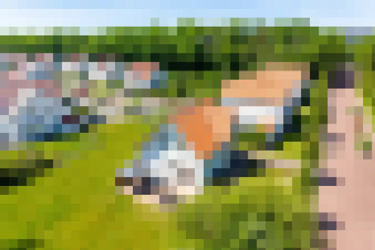 Oostduynen 17 Cadzand thumbnail 5