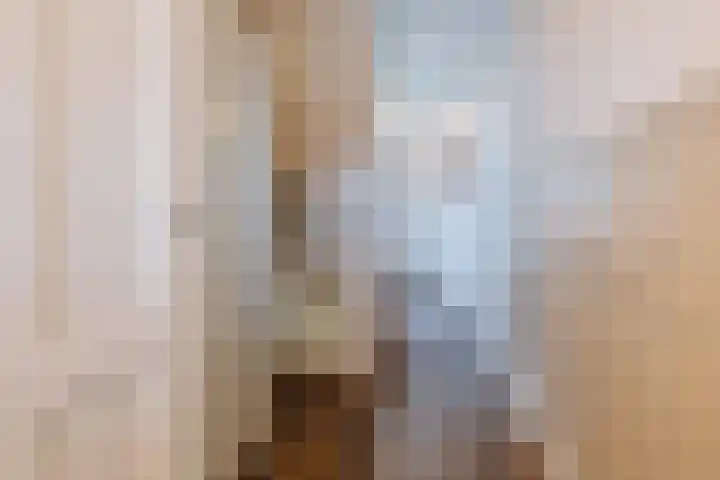 Oosteind 118 Papendrecht thumbnail 14