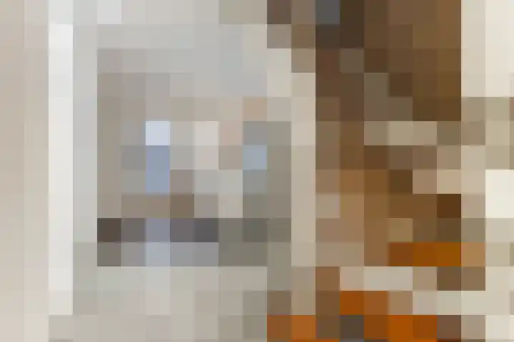 Oosteind 118 Papendrecht thumbnail 16