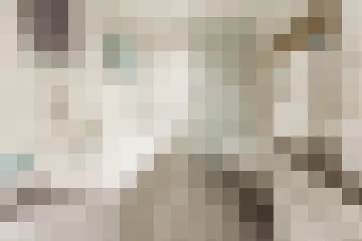 Oosteind 118 Papendrecht thumbnail 22