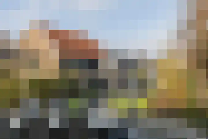 Oosteind 118 Papendrecht thumbnail 32