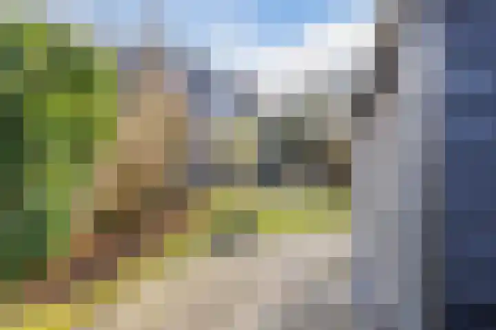 Oosteind 118 Papendrecht thumbnail 33