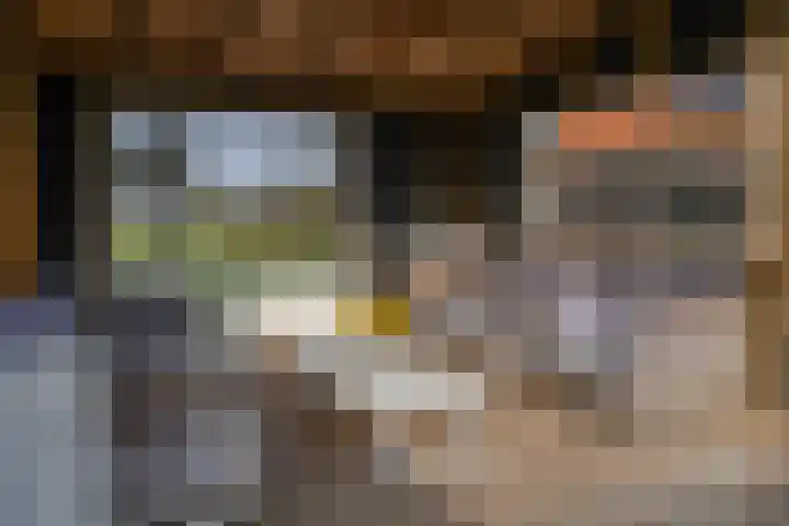 Oosteind 118 Papendrecht thumbnail 34