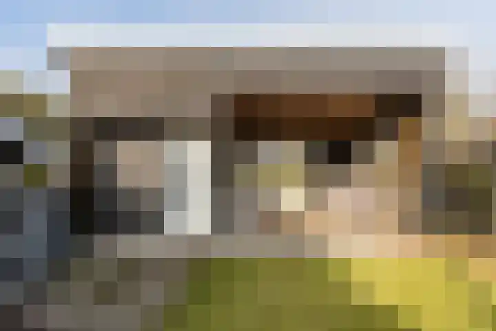Oosteind 118 Papendrecht thumbnail 35