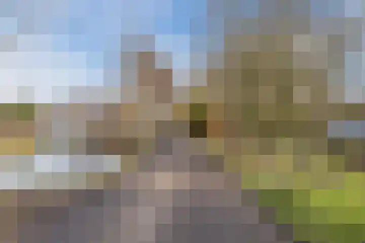 Oosteind 118 Papendrecht thumbnail 39