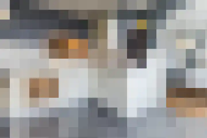 Oosteind 118 Papendrecht thumbnail 9